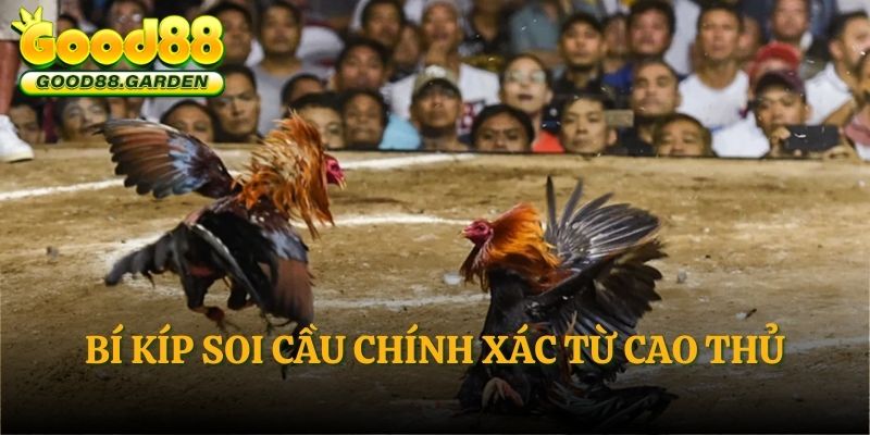 bi-kip-soi-cau-chinh-xac-tu-cao-thu