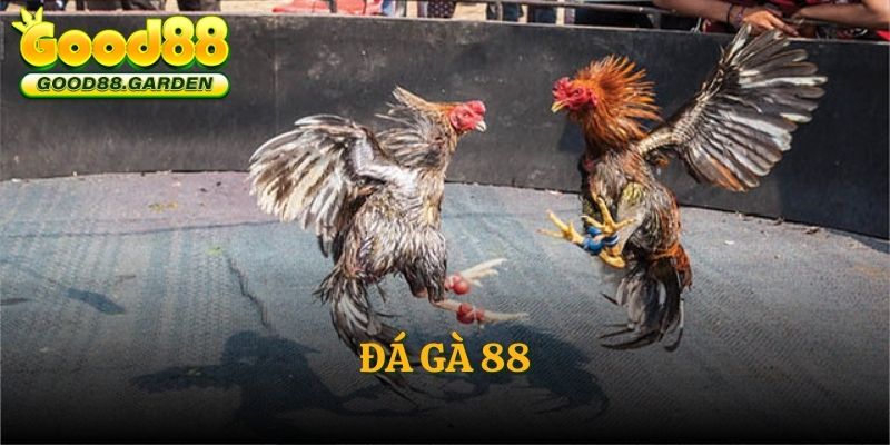da-ga-88