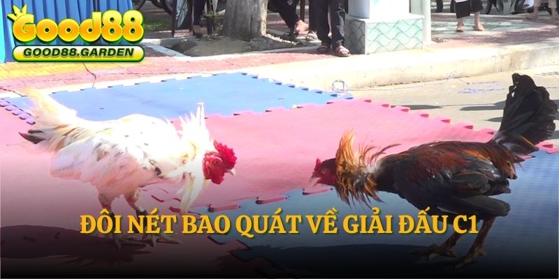 doi-net-bao-quat-ve-giai-dau-c1