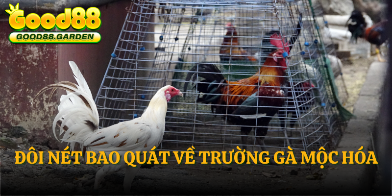 doi-net-bao-quat-ve-truong-ga-moc-hoa
