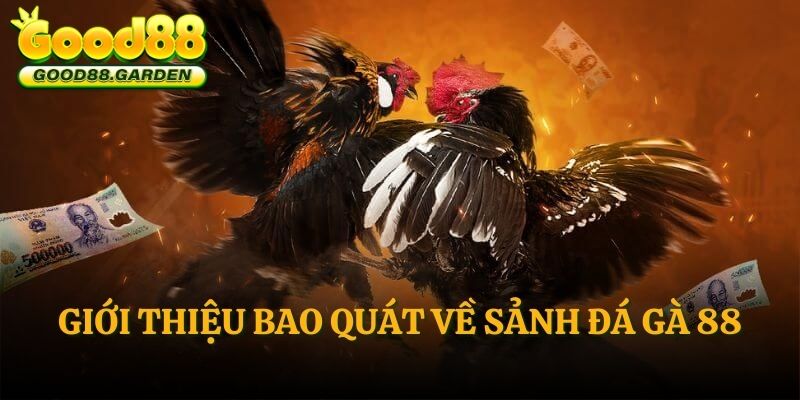 gioi-thieu-bao-quat-ve-sanh-da-ga-88