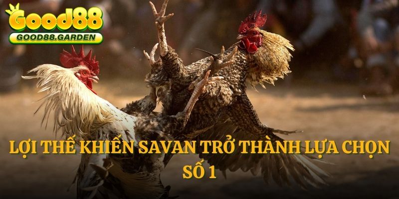 loi-the-khien-savan-tro-thanh-lua-chon-so-1