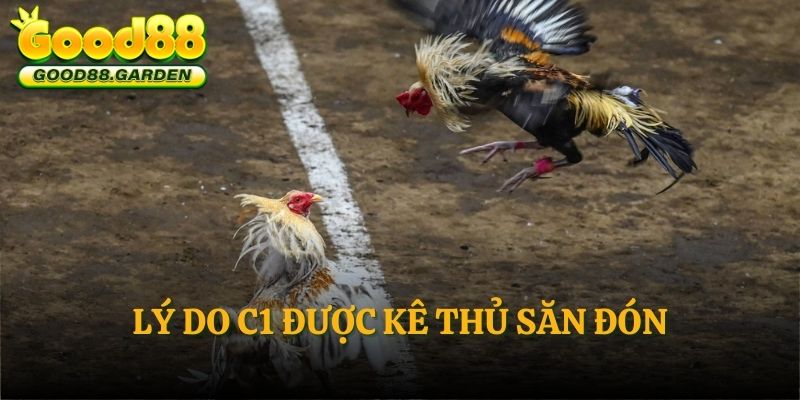 ly-do-c1-duoc-ke-thu-san-don