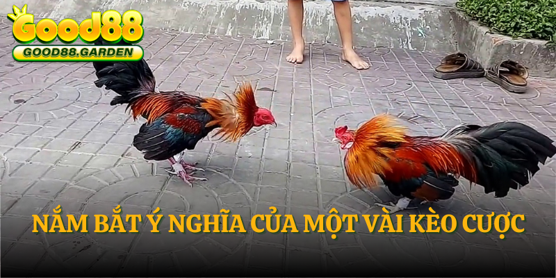 nam-bat-y-nghia-cua-mot-vai-keo-cuoc