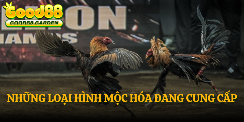 nhung-loai-hinh-moc-hoa-dang-cung-cap