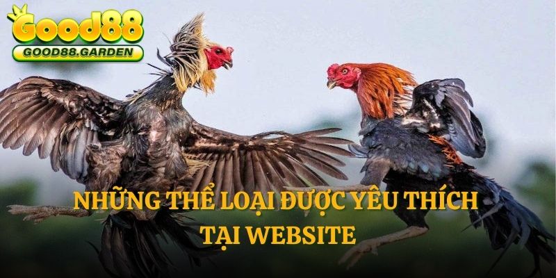 nhung-the-loai-duoc-yeu-thich-tai-website