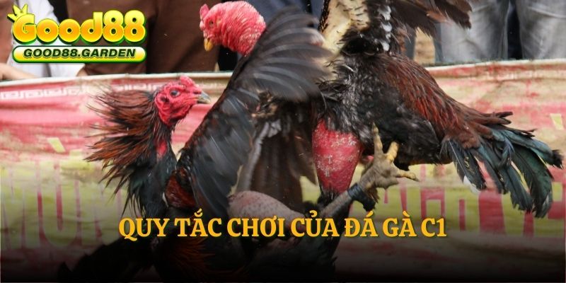 quy-tac-choi-cua-da-ga-c1