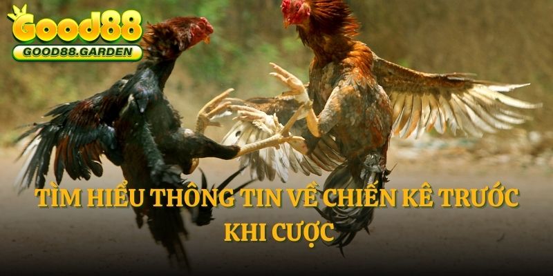 tim-hieu-thong-tin-ve-chien-ke-truoc-khi-cuoc